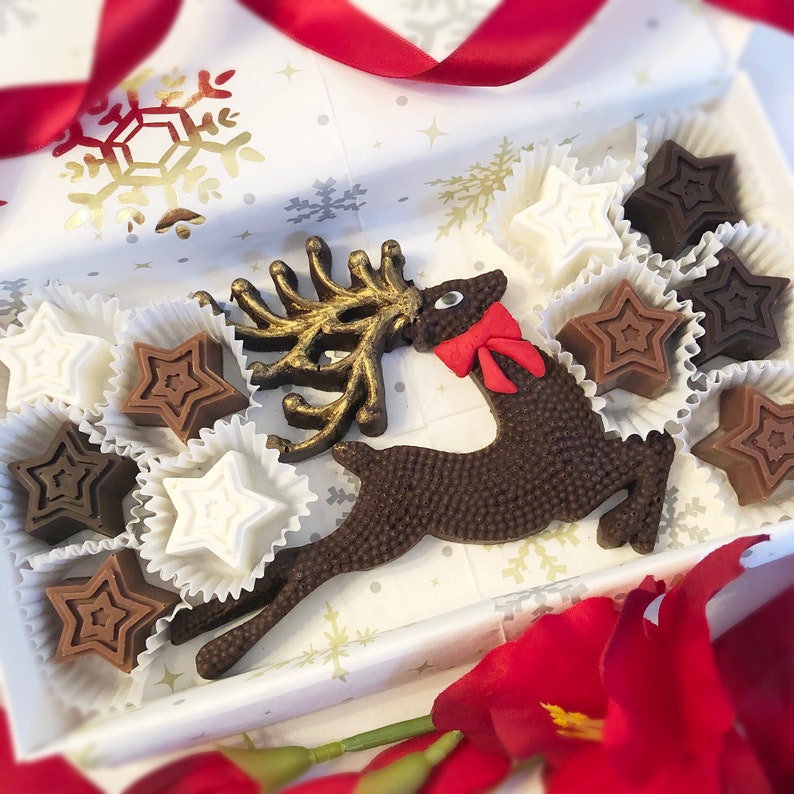 Holiday Chocolate Reindeer and Stars - Christmas Hostess Gift