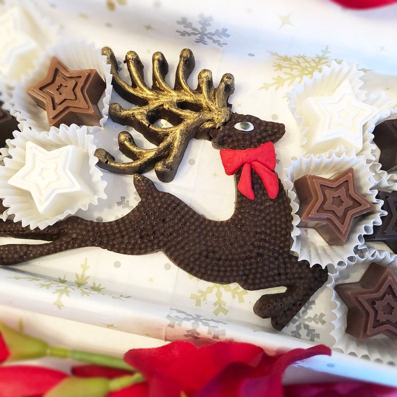 Holiday Chocolate Reindeer and Stars - Christmas Hostess Gift