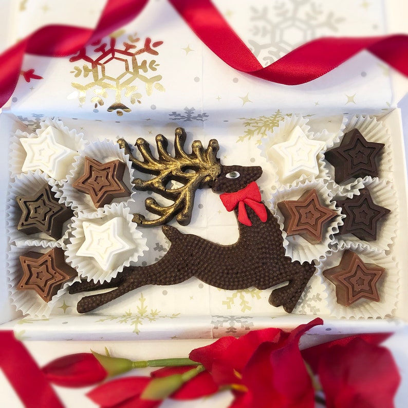 Holiday Chocolate Reindeer and Stars - Christmas Hostess Gift